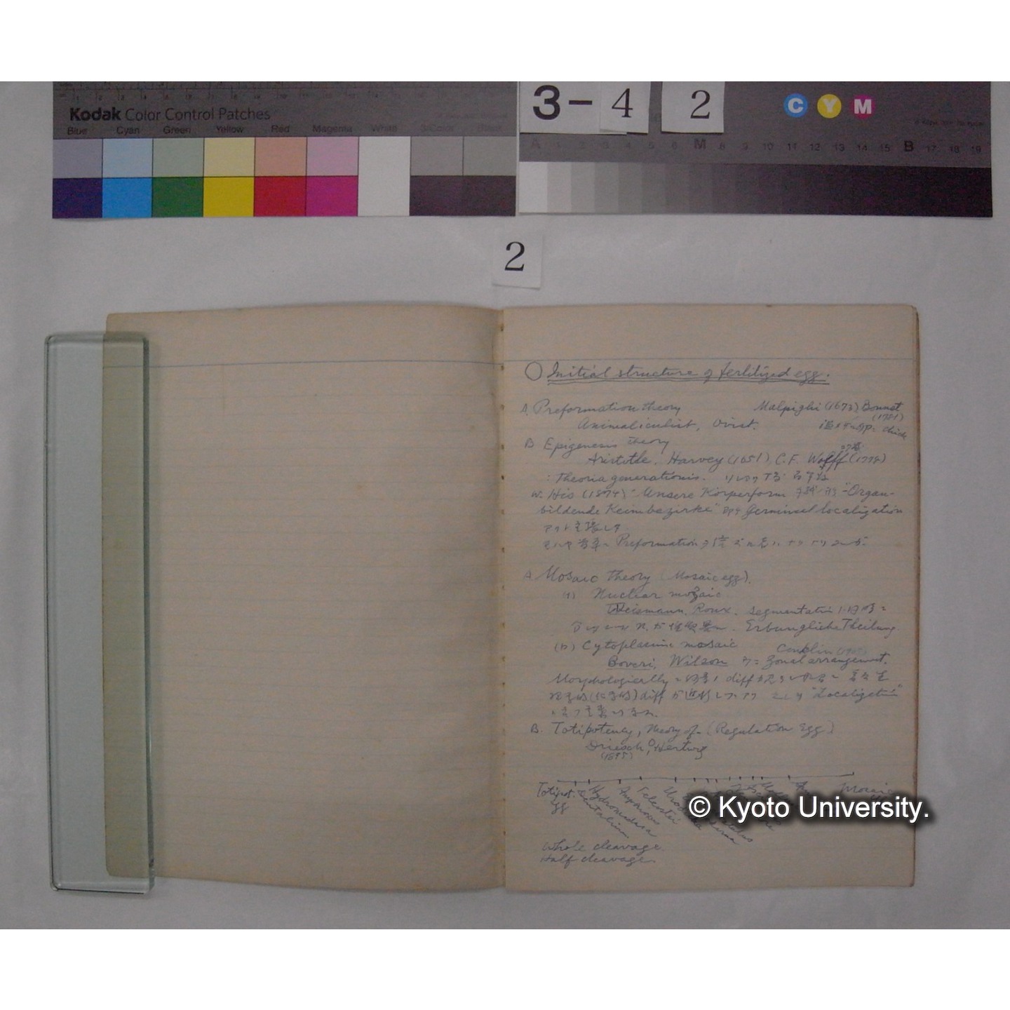 (Initial structure of Ferlilized egg ; Regeneration ; Autotomy; 万葉集中の動物) [ノート] / (川村多實二） (2)