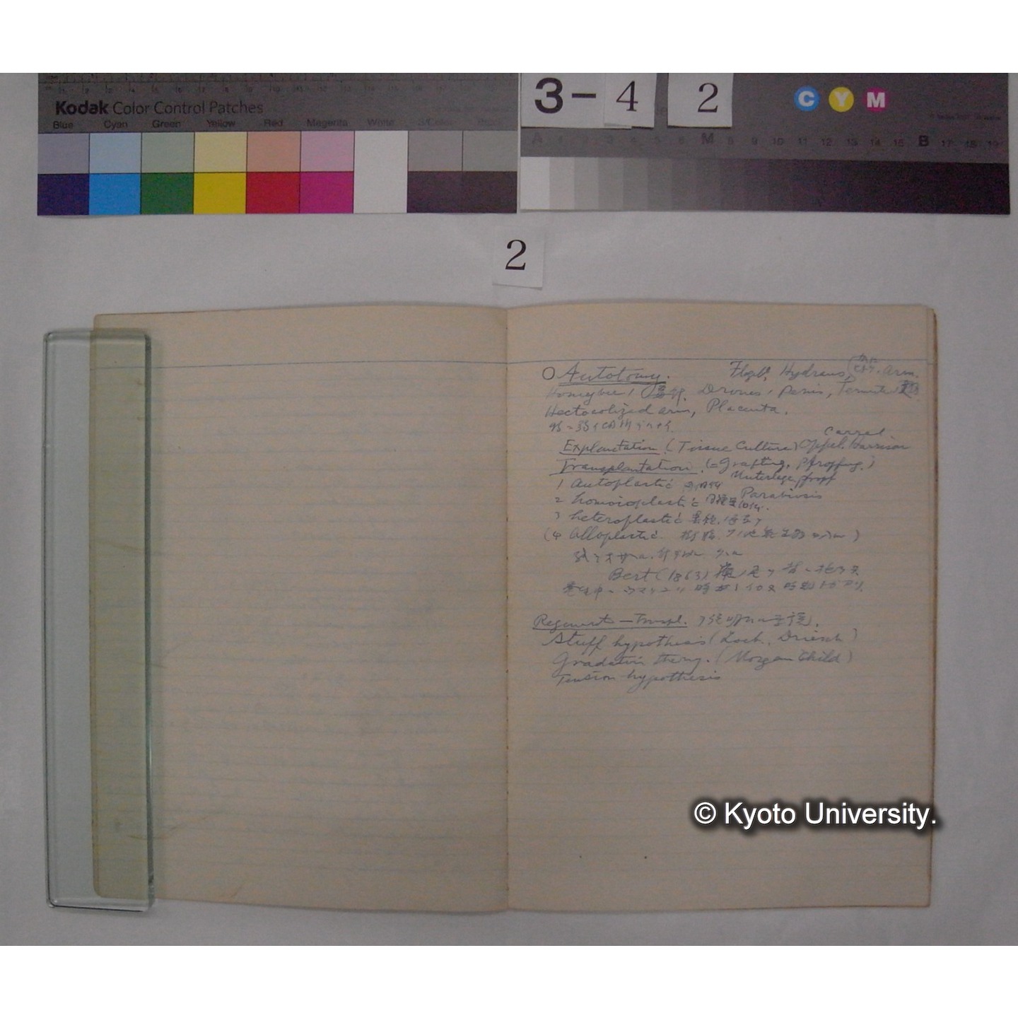 (Initial structure of Ferlilized egg ; Regeneration ; Autotomy; 万葉集中の動物) [ノート] / (川村多實二） (4)