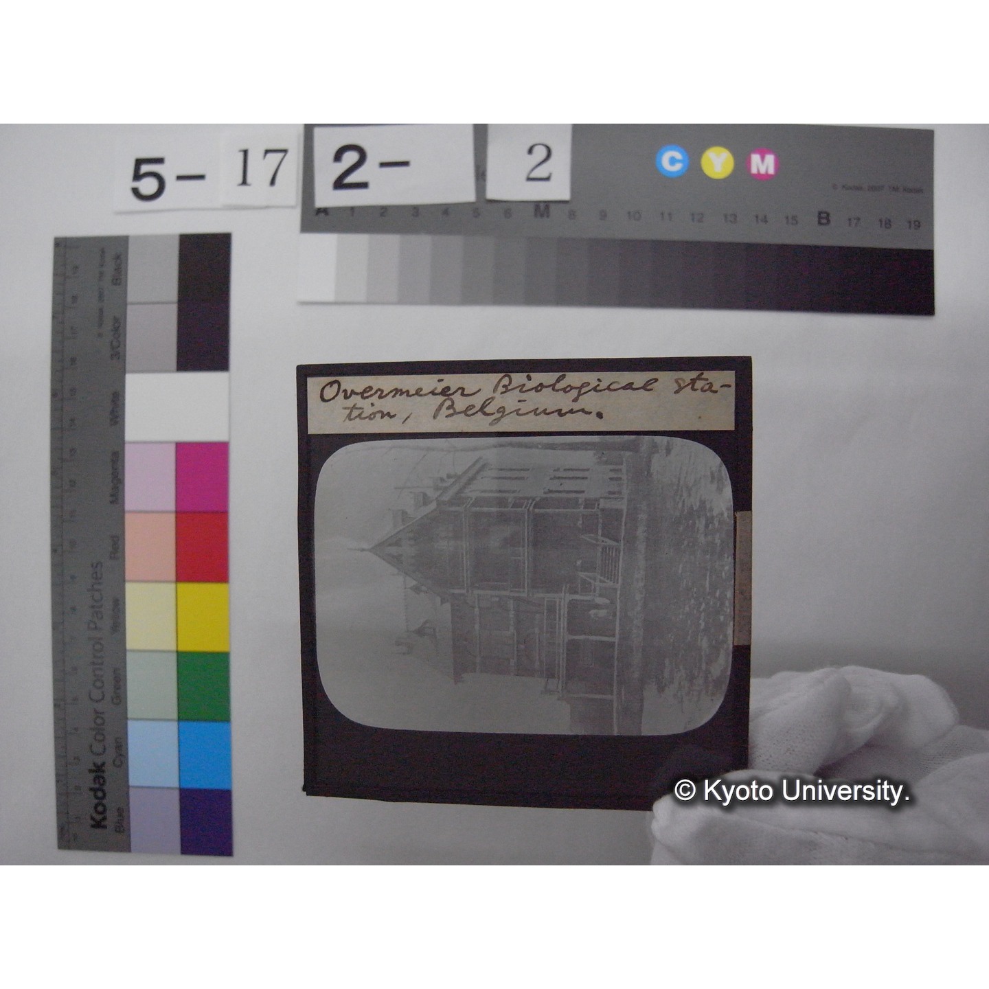 スライド(ガラス種板): S36 Overmeier Biological Station, Belgium. (1)