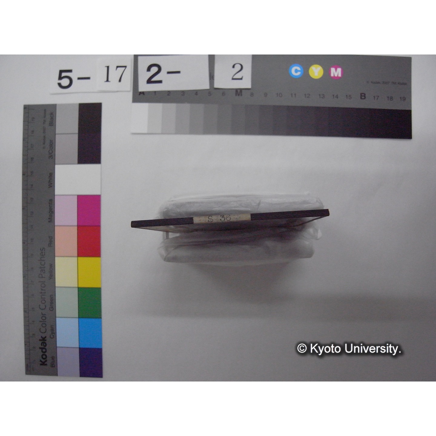 スライド(ガラス種板): S36 Overmeier Biological Station, Belgium. (2)