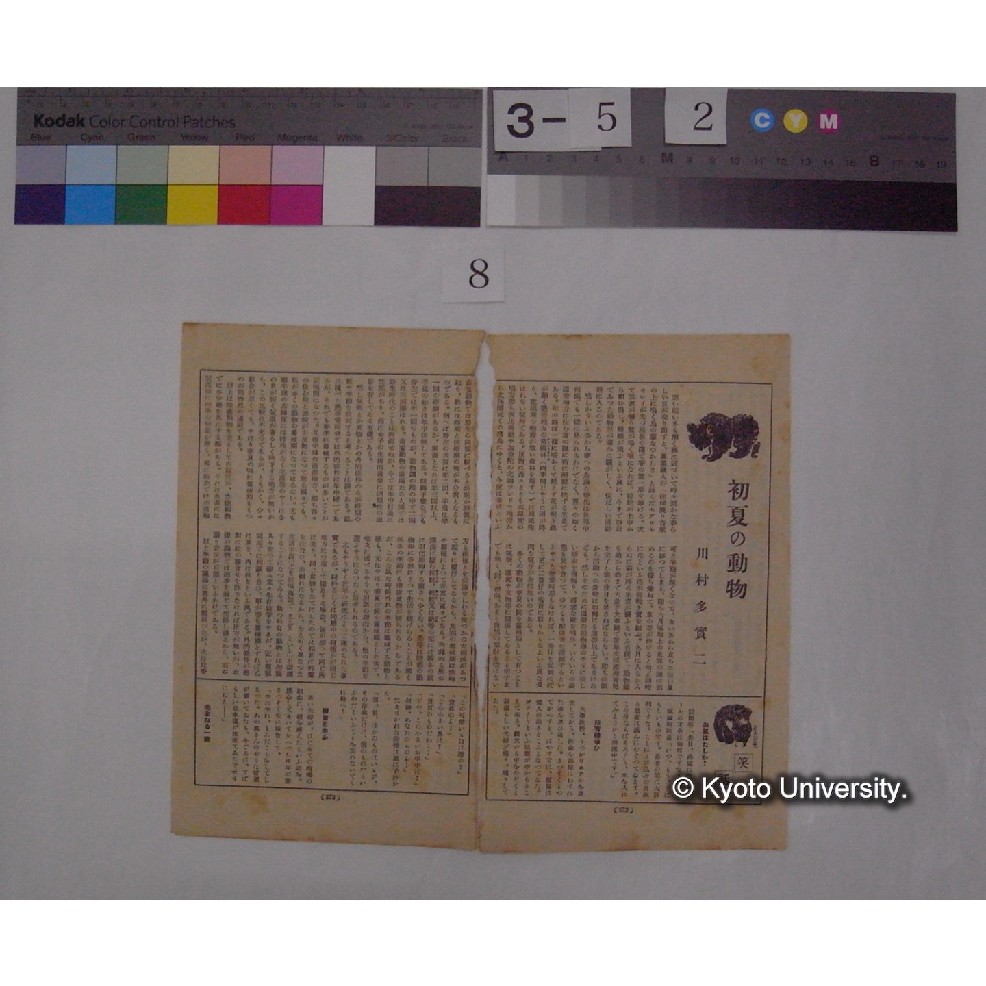 初夏の動物 / 川村多實二 (2)