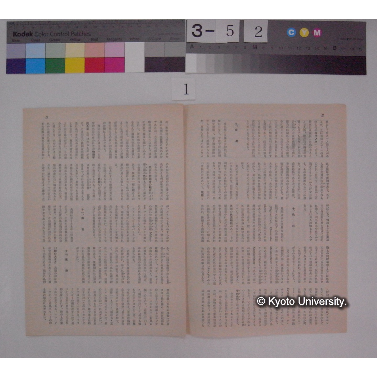 鳥体の生理 / 川村多實二 (経済人; 昭和38年10月号抜刷) (2)