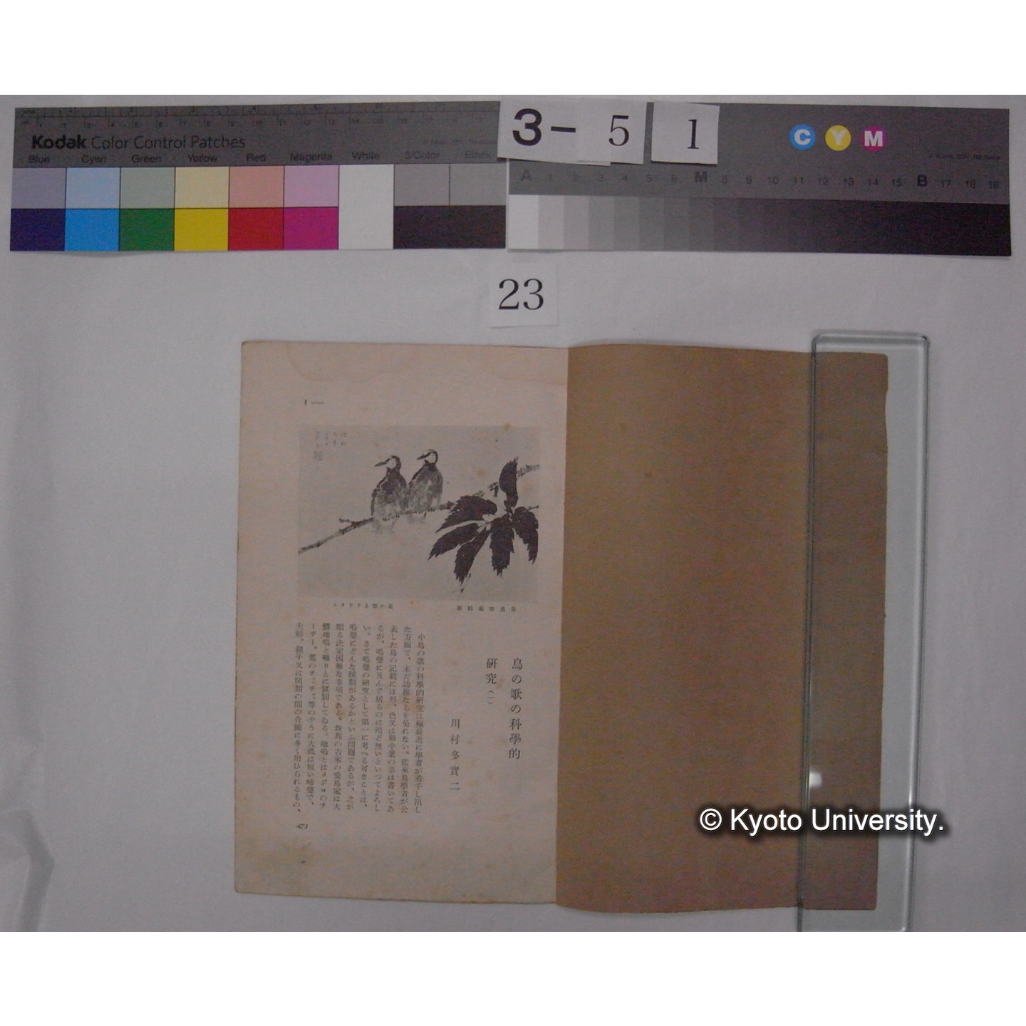 鳥の歌の科学的研究 / 川村多實二 (野鳥; 昭和10年7,8月抜刷) (2)