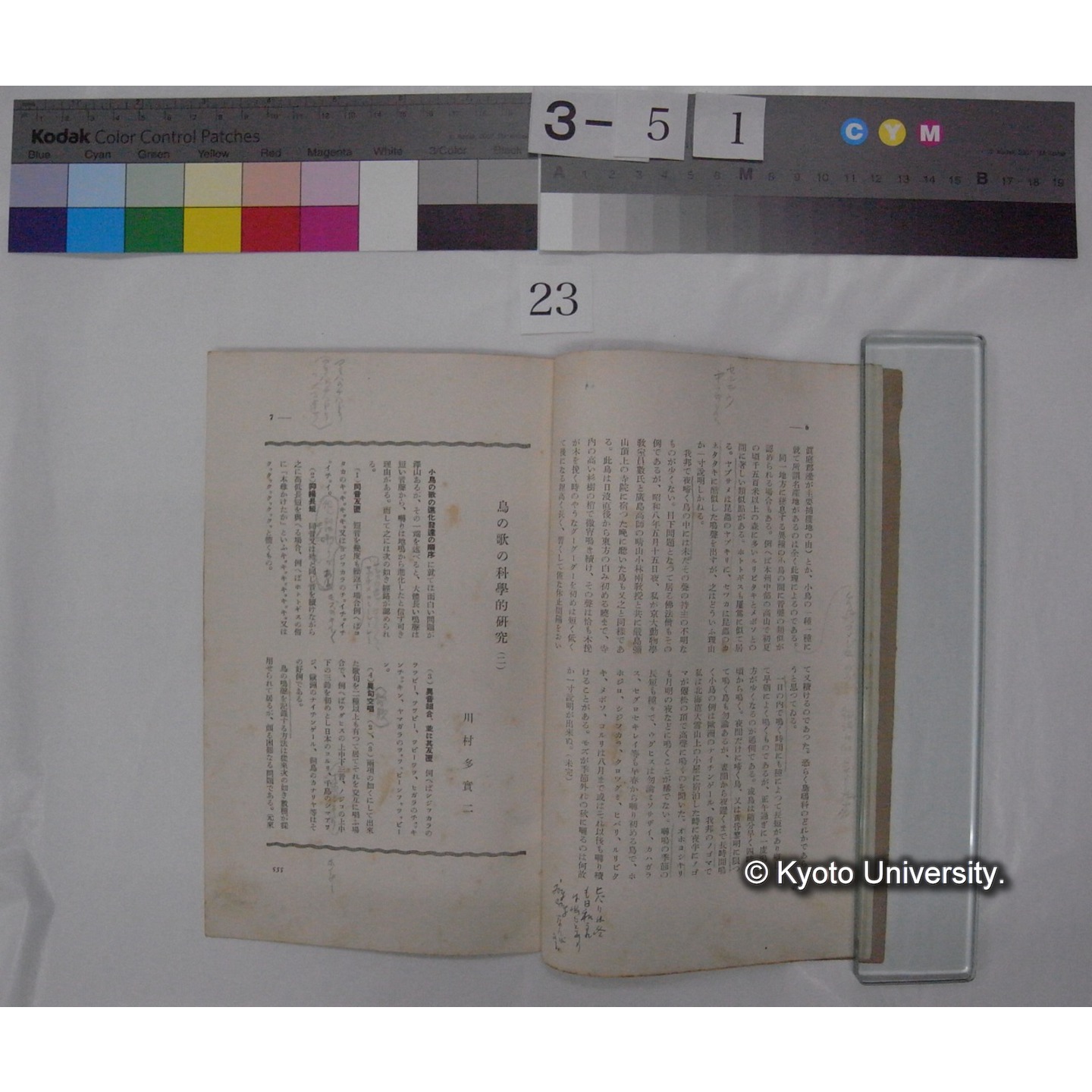 鳥の歌の科学的研究 / 川村多實二 (野鳥; 昭和10年7,8月抜刷) (3)