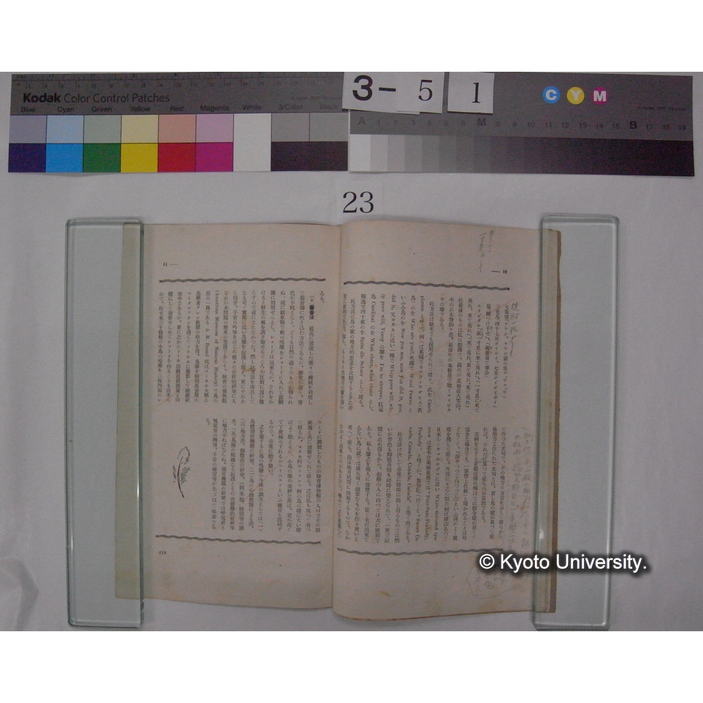 鳥の歌の科学的研究 / 川村多實二 (野鳥; 昭和10年7,8月抜刷) (4)