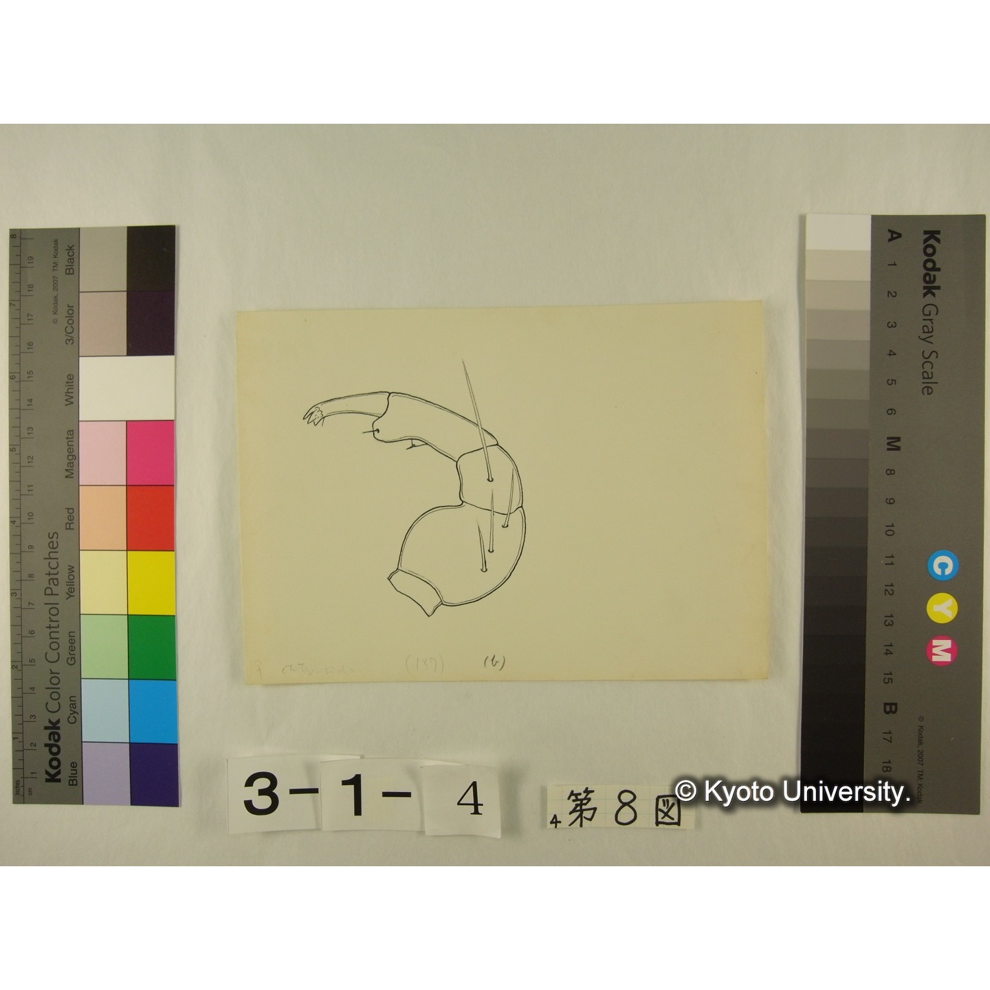 第8図 (不詳) (4)