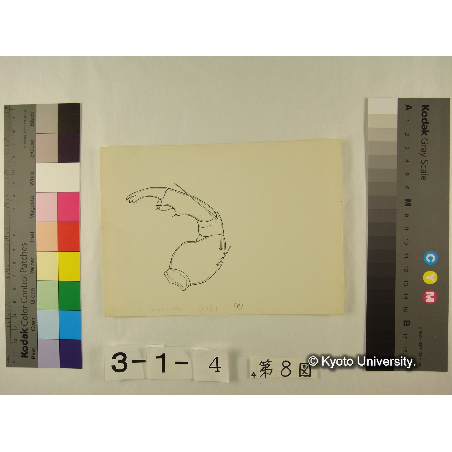 第8図 (不詳) (5)