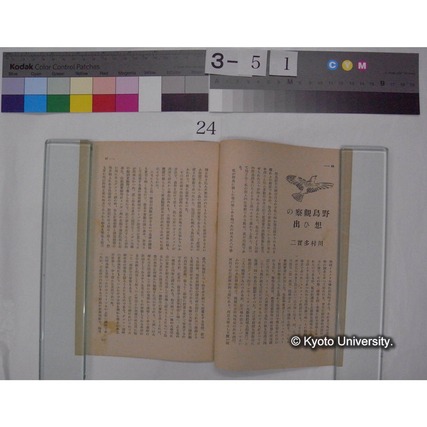 野鳥観察の思ひ出 / 川村多實二 (野鳥; 9巻8号別刷) (2)