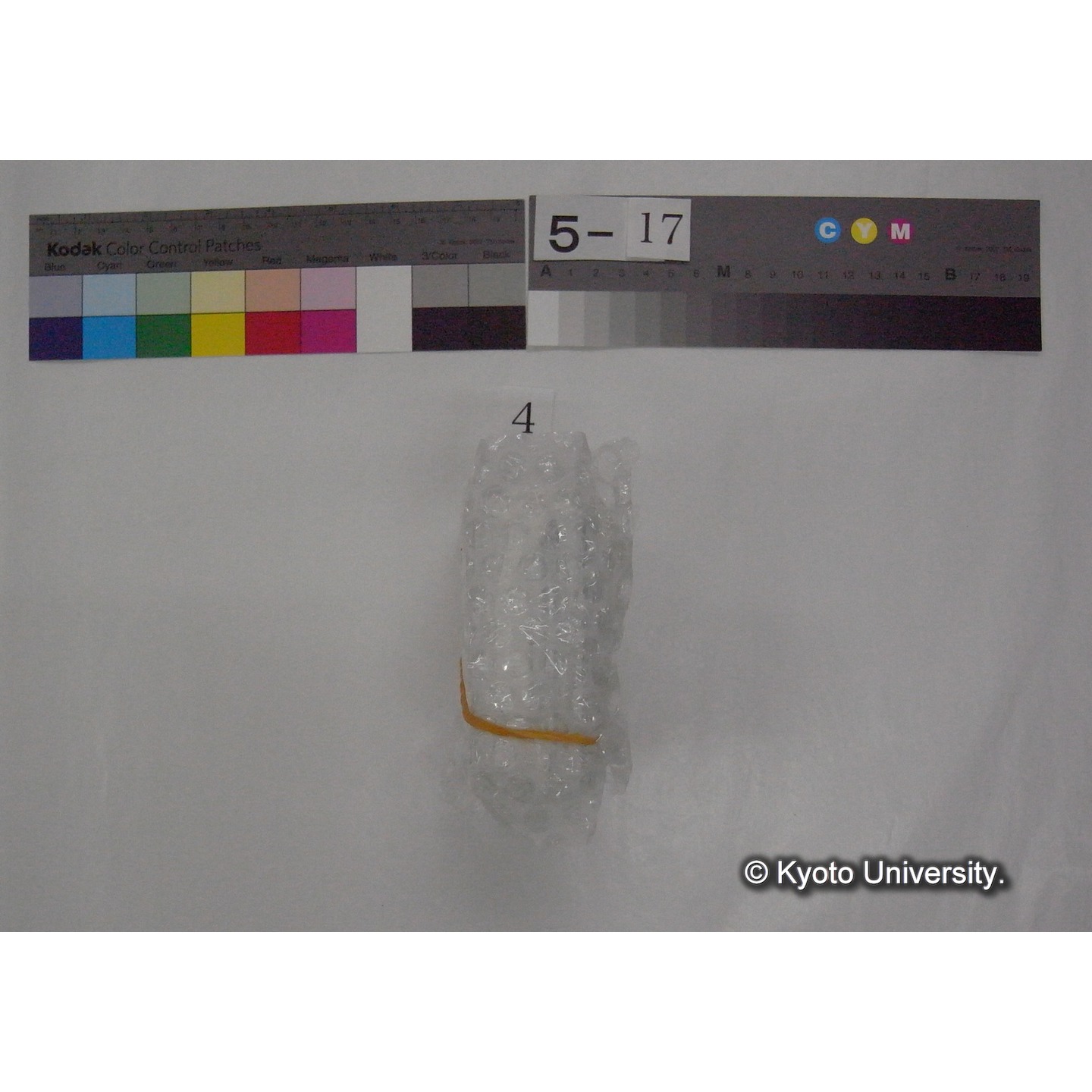 スライド(ガラス種板) (1)