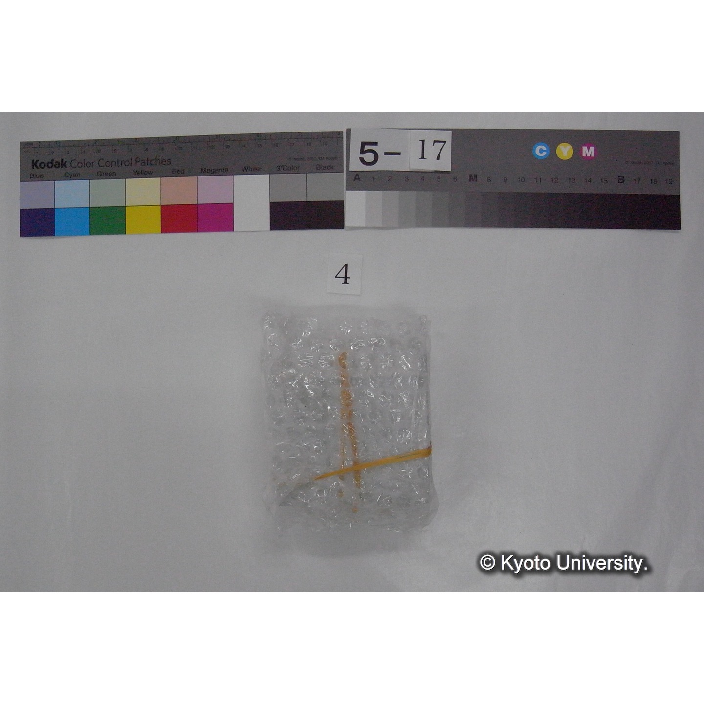 スライド(ガラス種板) (2)