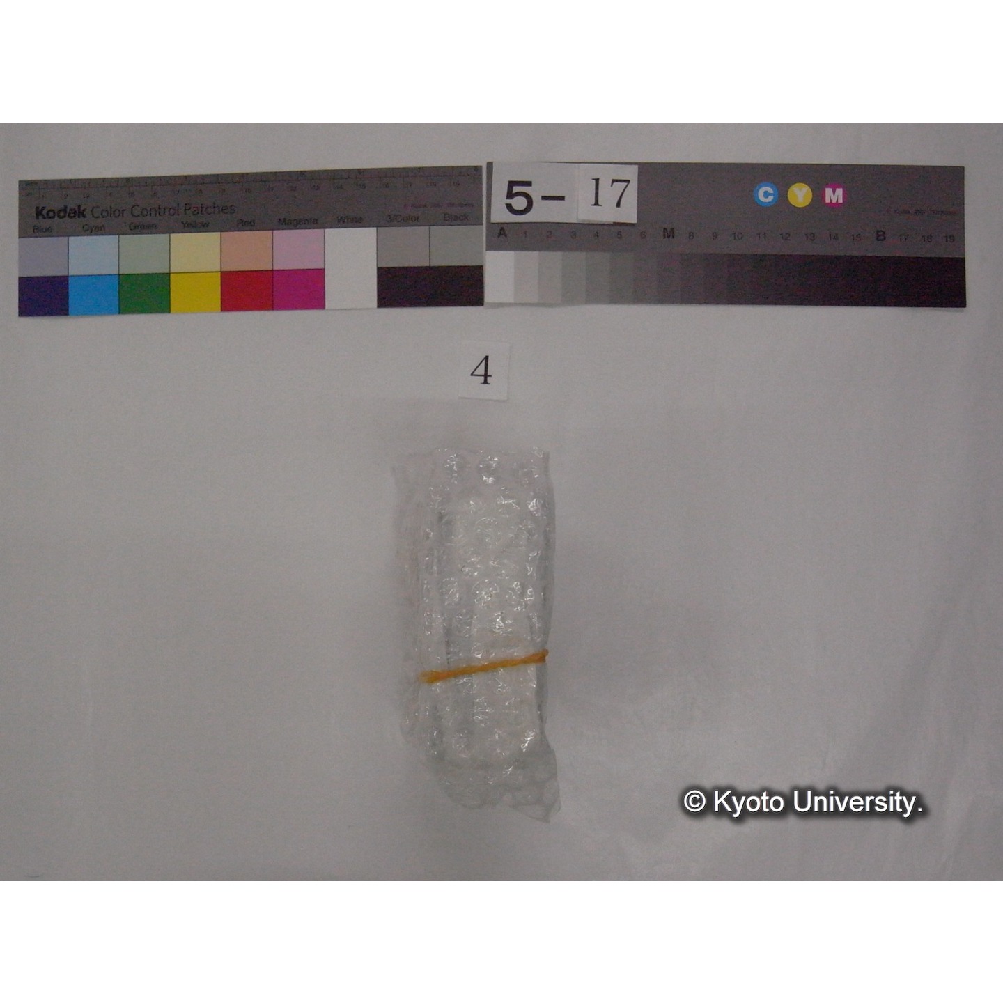 スライド(ガラス種板) (3)