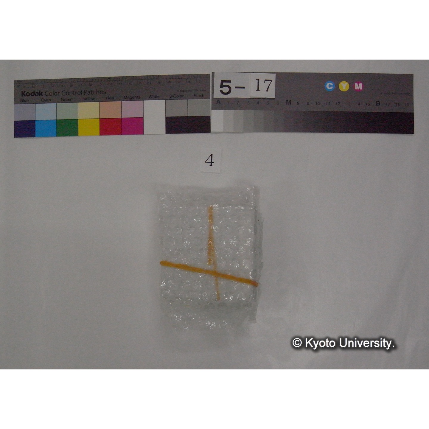 スライド(ガラス種板) (4)