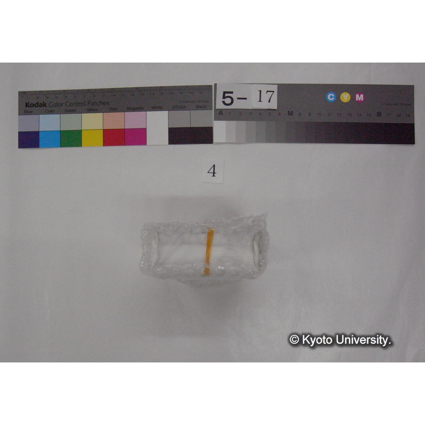 スライド(ガラス種板) (5)