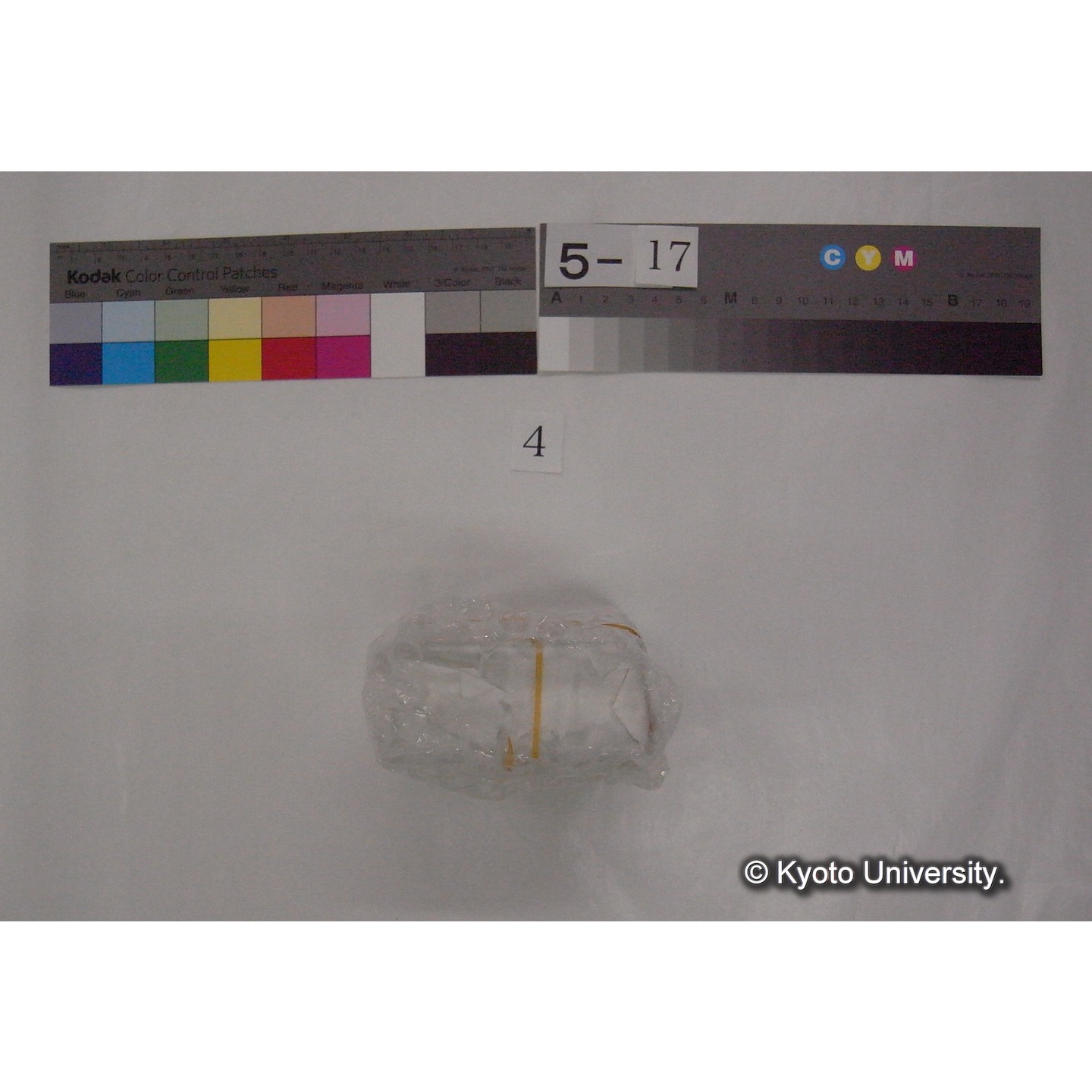 スライド(ガラス種板) (6)