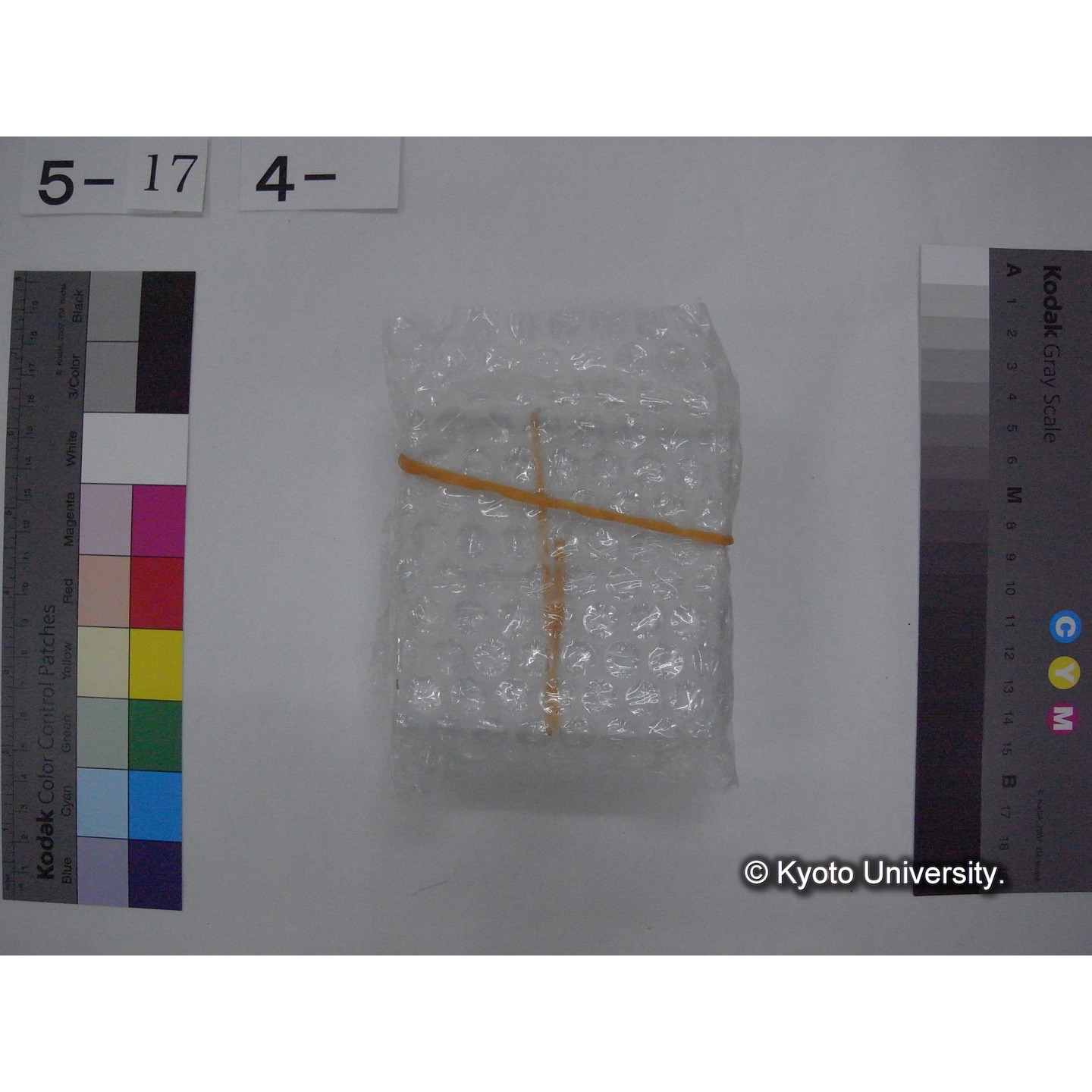 スライド(ガラス種板) (7)