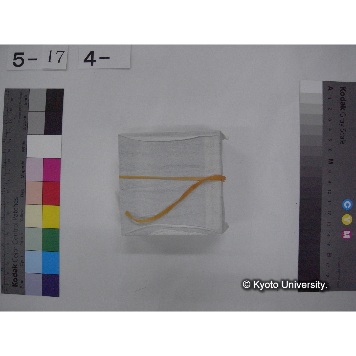 スライド(ガラス種板) (8)
