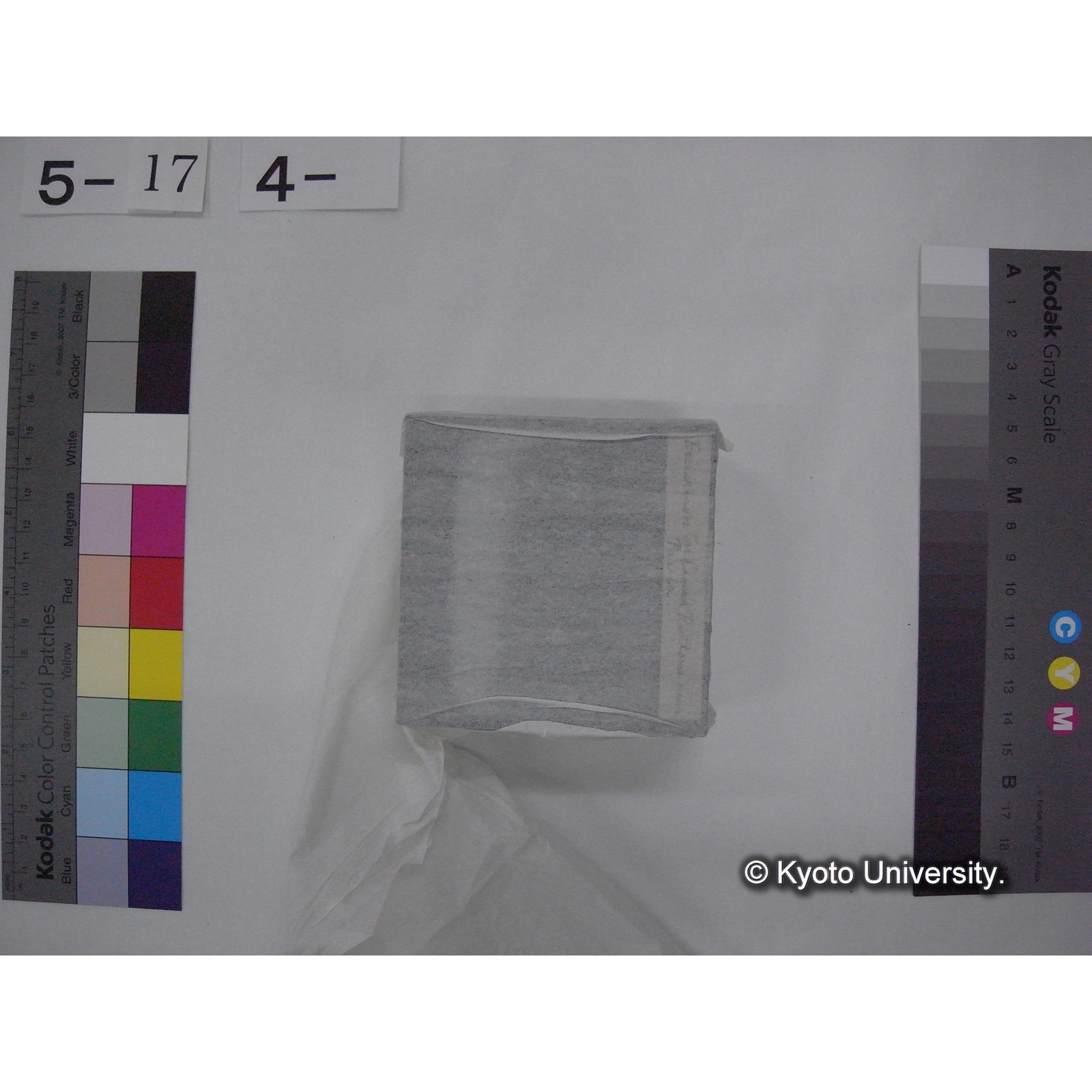 スライド(ガラス種板) (9)