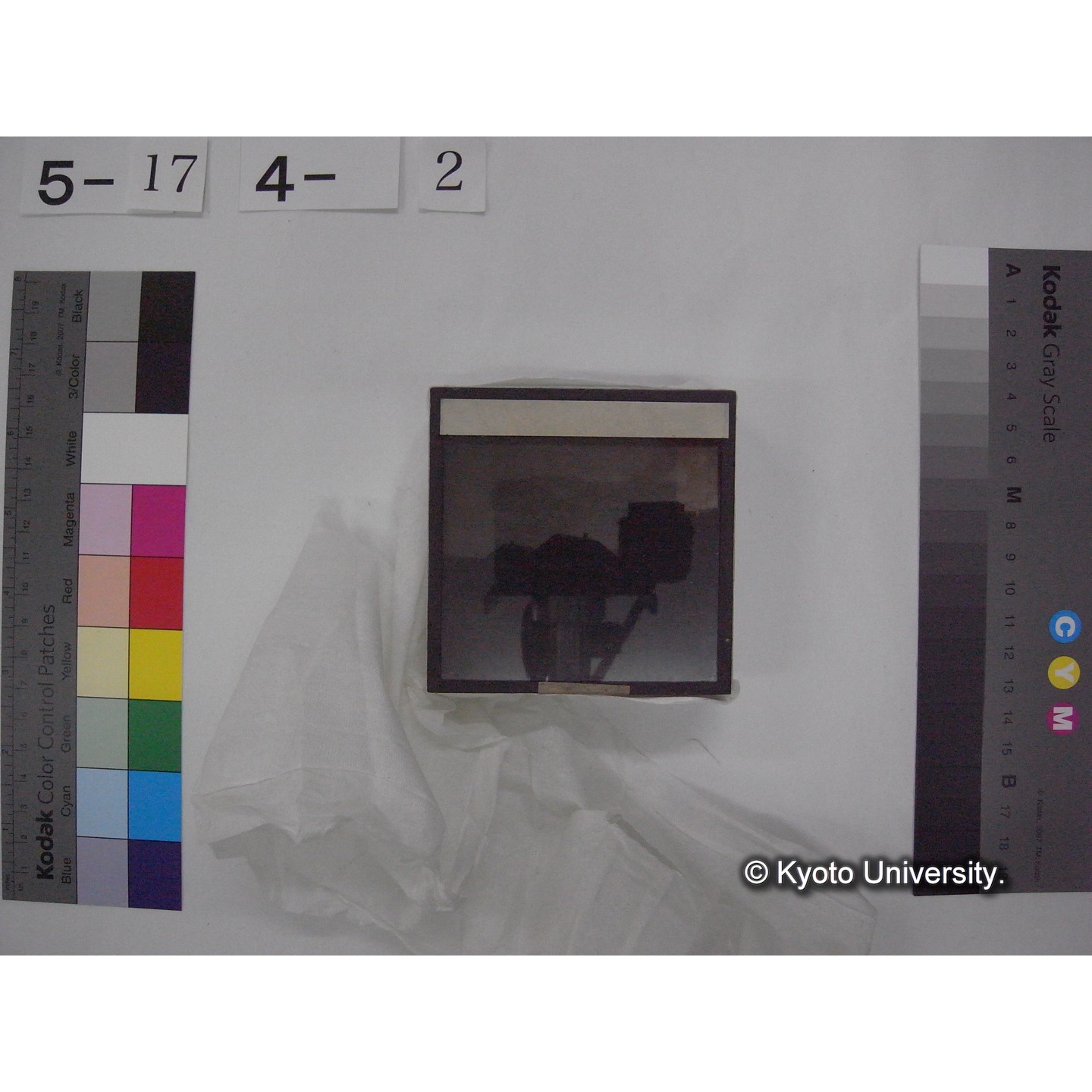 スライド(ガラス種板) (11)