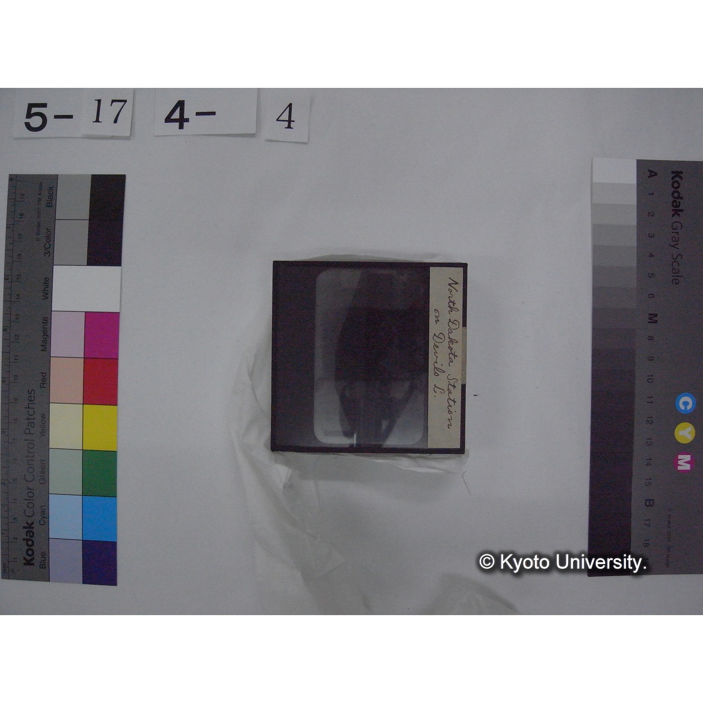 スライド(ガラス種板) (13)