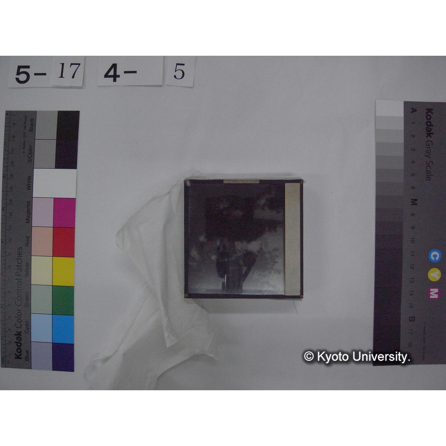 スライド(ガラス種板) (14)