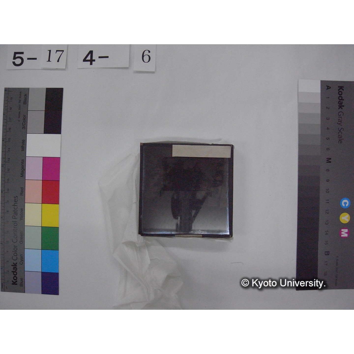 スライド(ガラス種板) (15)