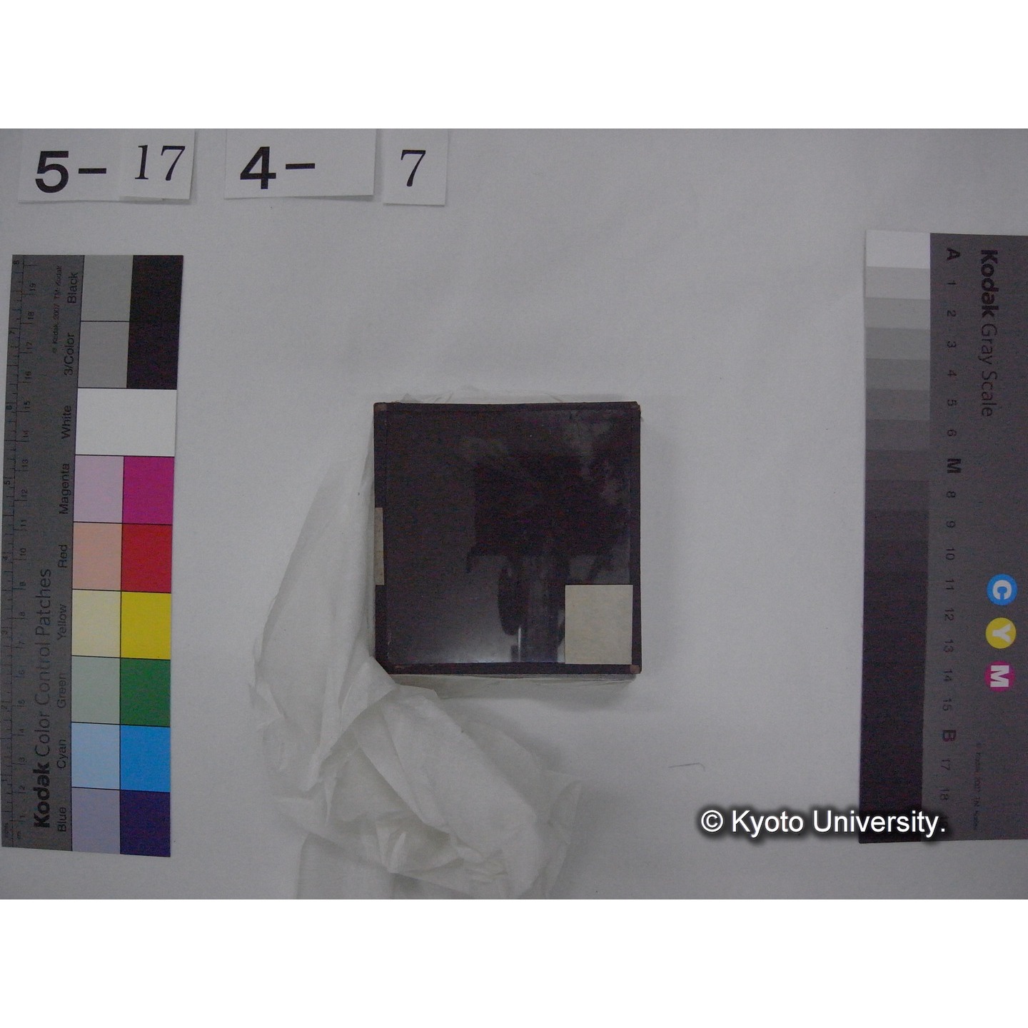 スライド(ガラス種板) (16)