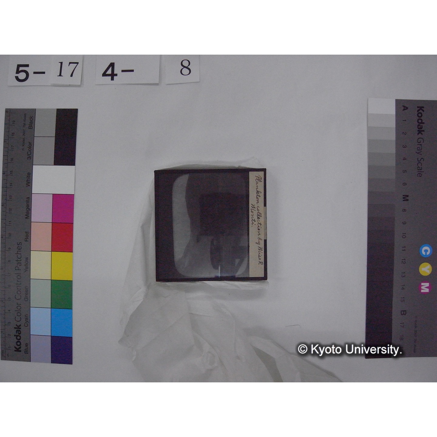 スライド(ガラス種板) (17)