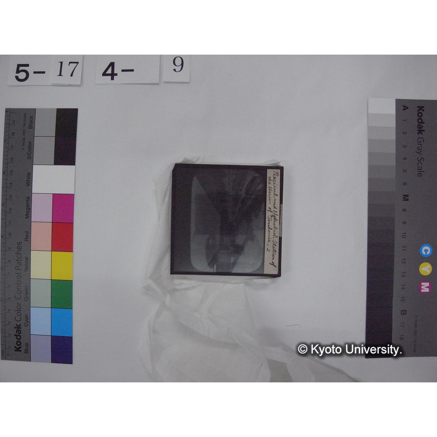 スライド(ガラス種板) (18)