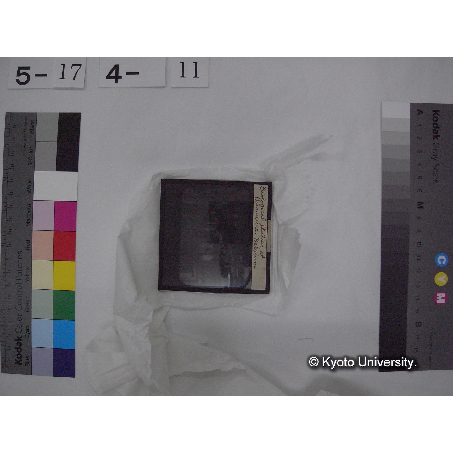 スライド(ガラス種板) (20)