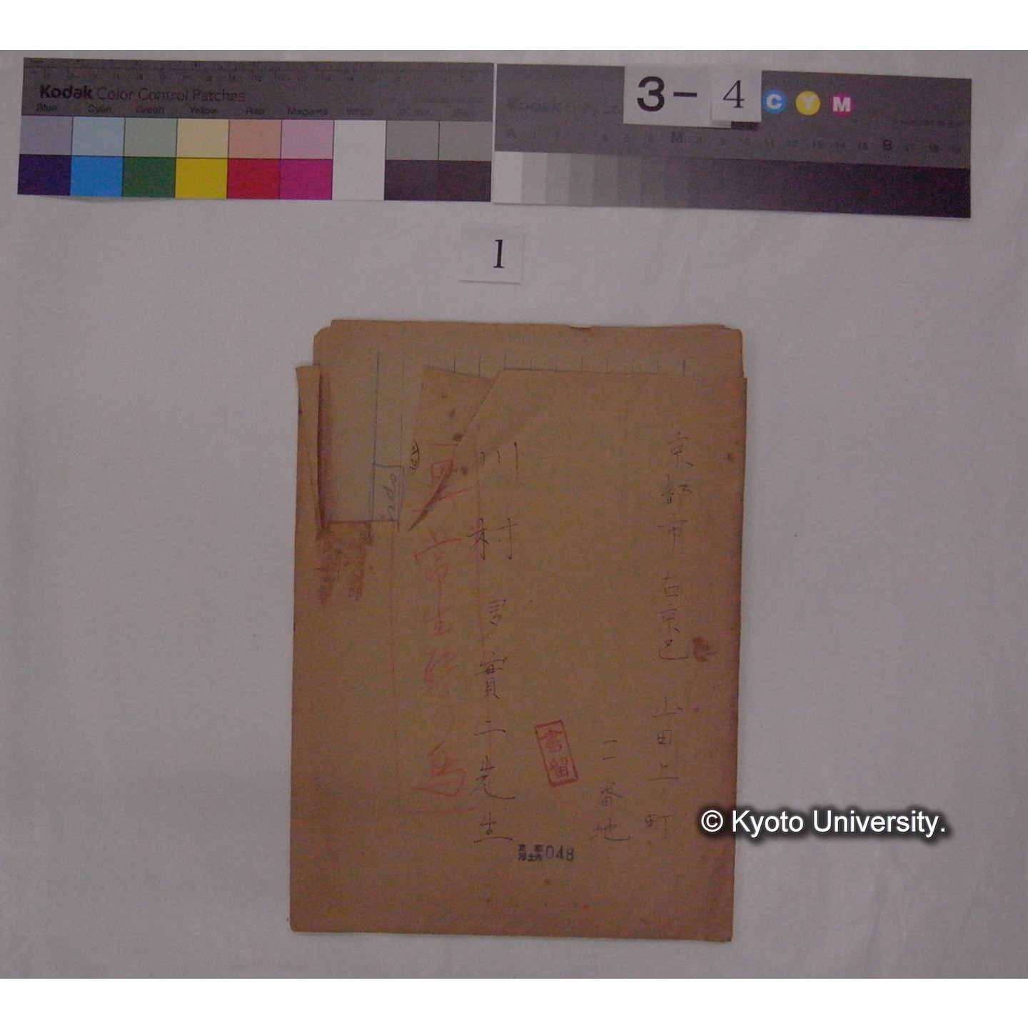 原稿 (「異常生態の鳥」) (1)