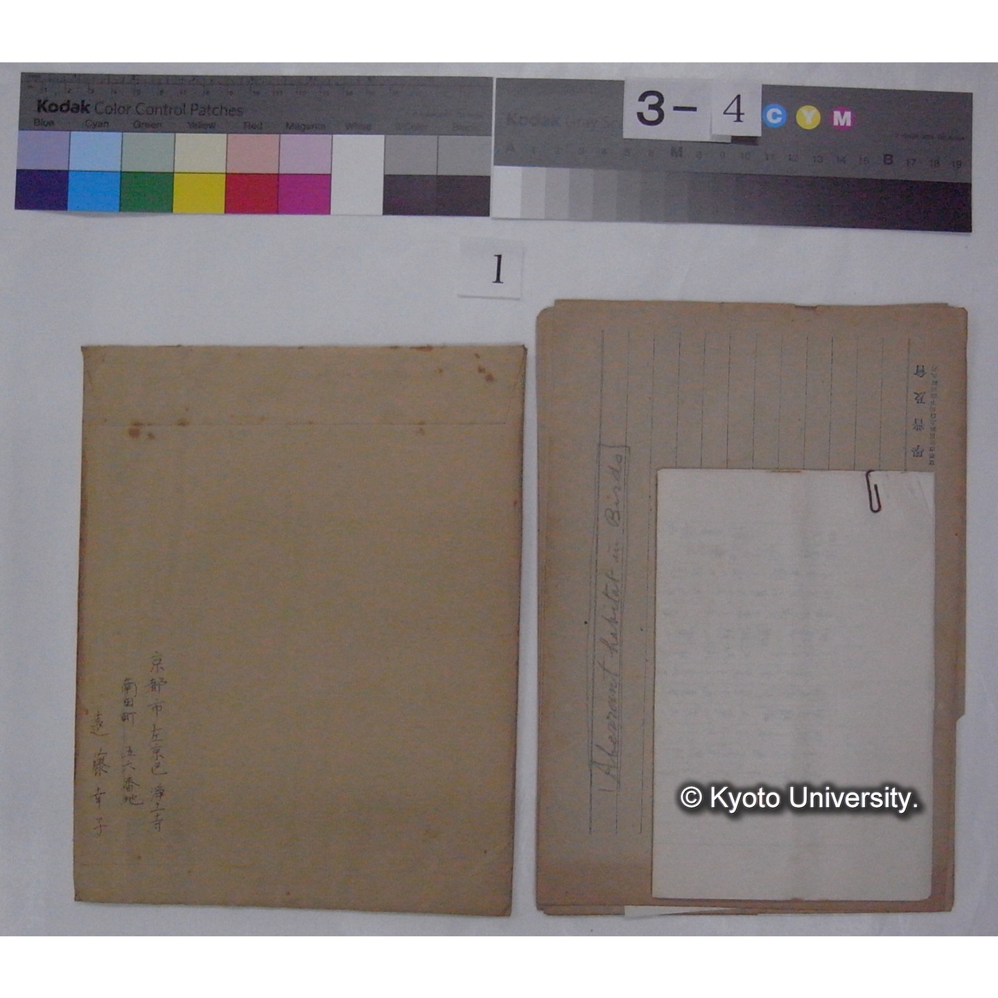 原稿 (「異常生態の鳥」) (3)