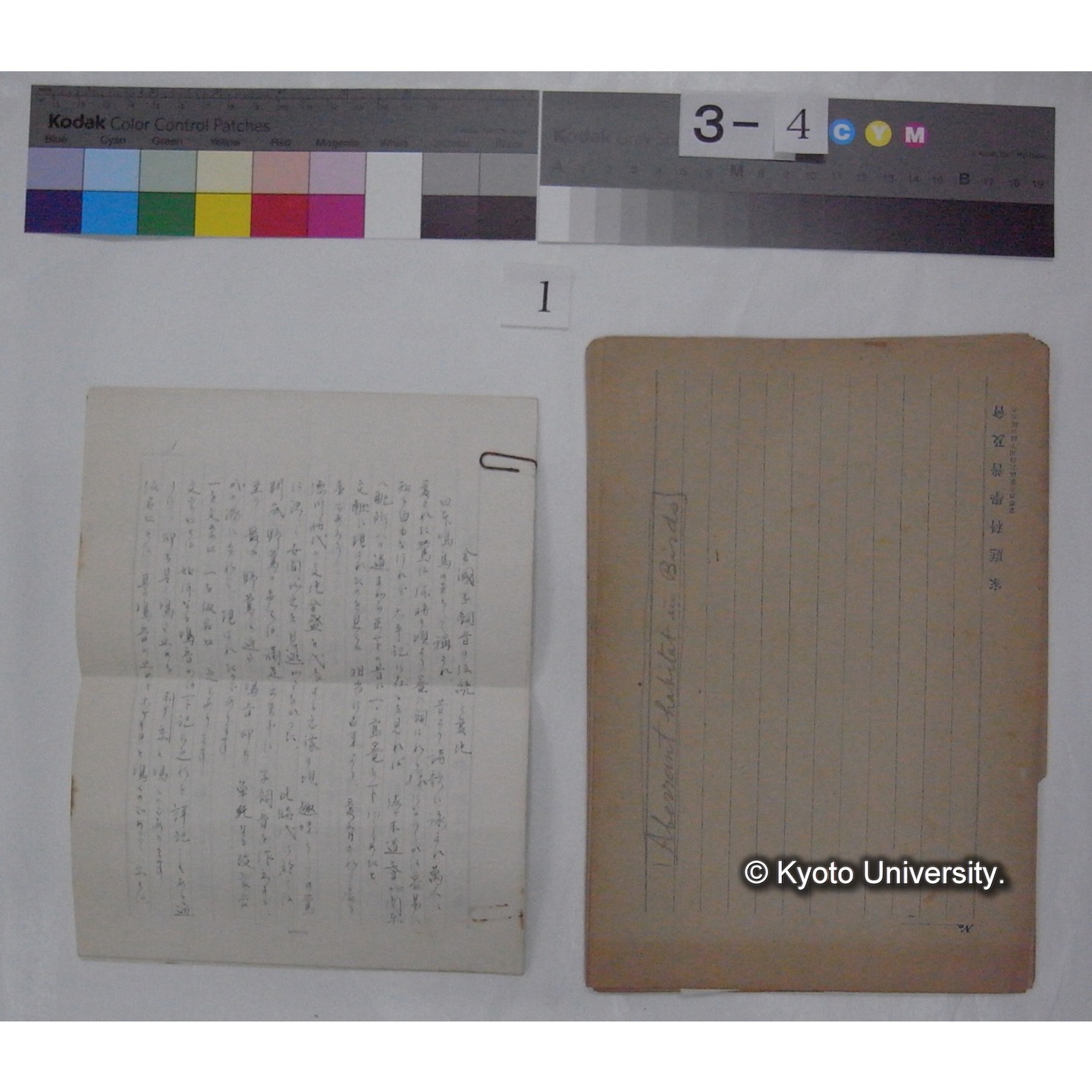 原稿 (「異常生態の鳥」) (4)