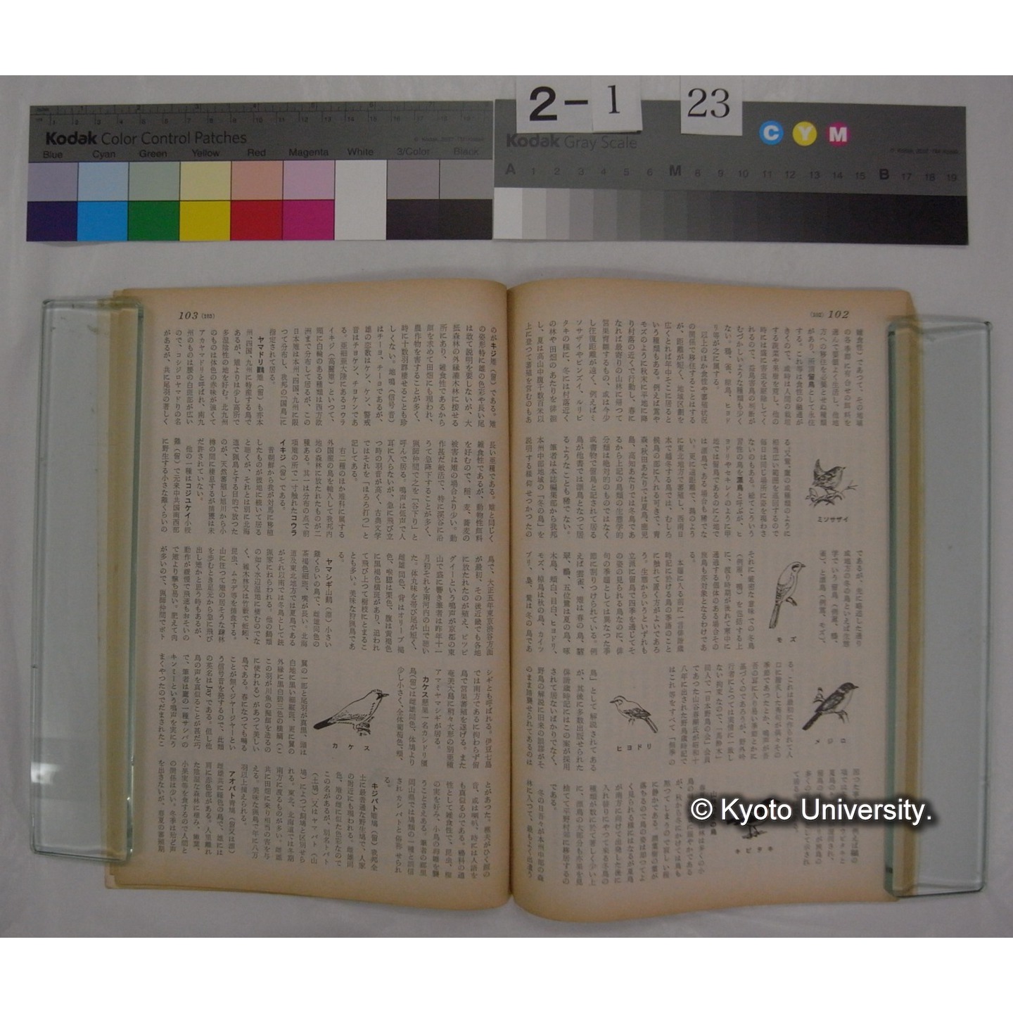 経済人 : HOMOECONOMICUS (14巻1号,昭和35.1) / 関西経済連合会刊 (4)