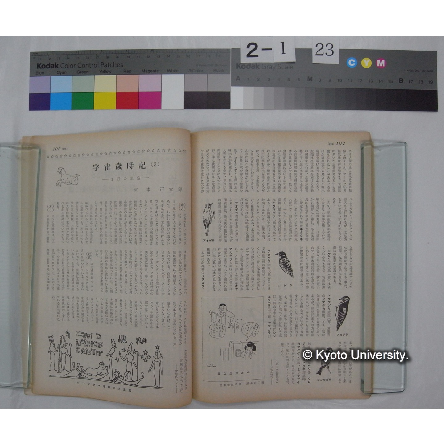 経済人 : HOMOECONOMICUS (14巻1号,昭和35.1) / 関西経済連合会刊 (5)