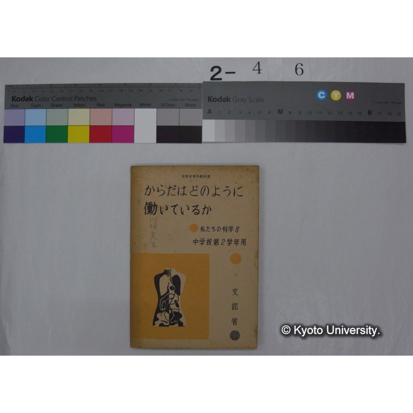 からだはどのように働いているか : 中学校第2学年用 / 文部省 (私たちの科学; 8 ) (1)