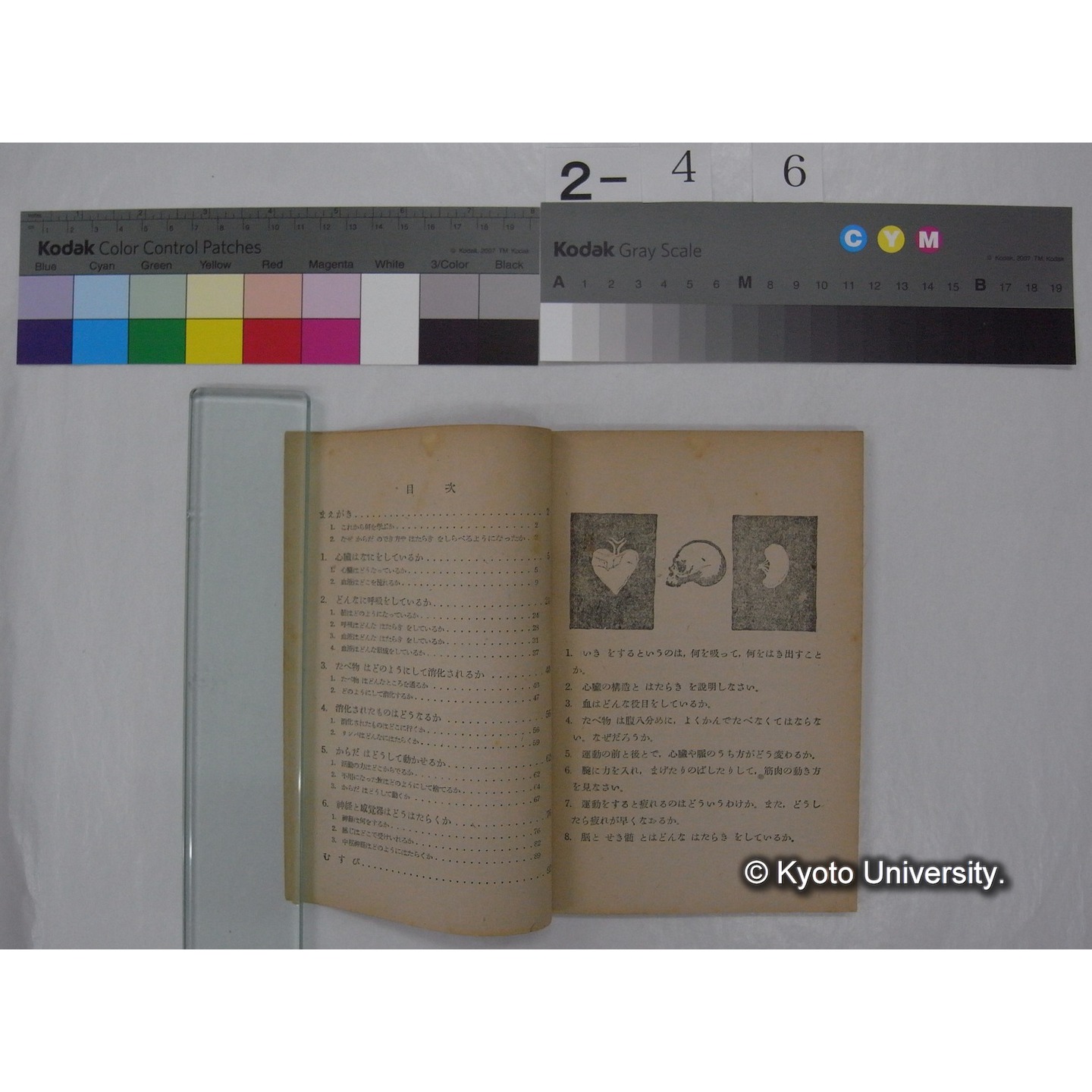 からだはどのように働いているか : 中学校第2学年用 / 文部省 (私たちの科学; 8 ) (2)