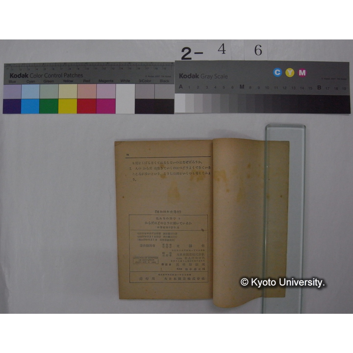 からだはどのように働いているか : 中学校第2学年用 / 文部省 (私たちの科学; 8 ) (3)