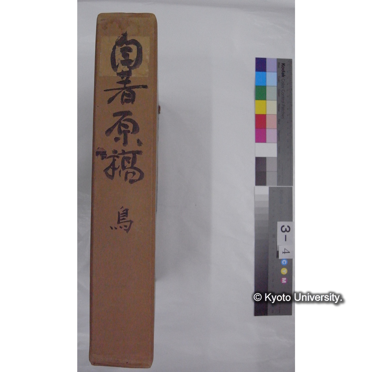 原稿・書簡・資料等 (「自著原稿 鳥」) (2)