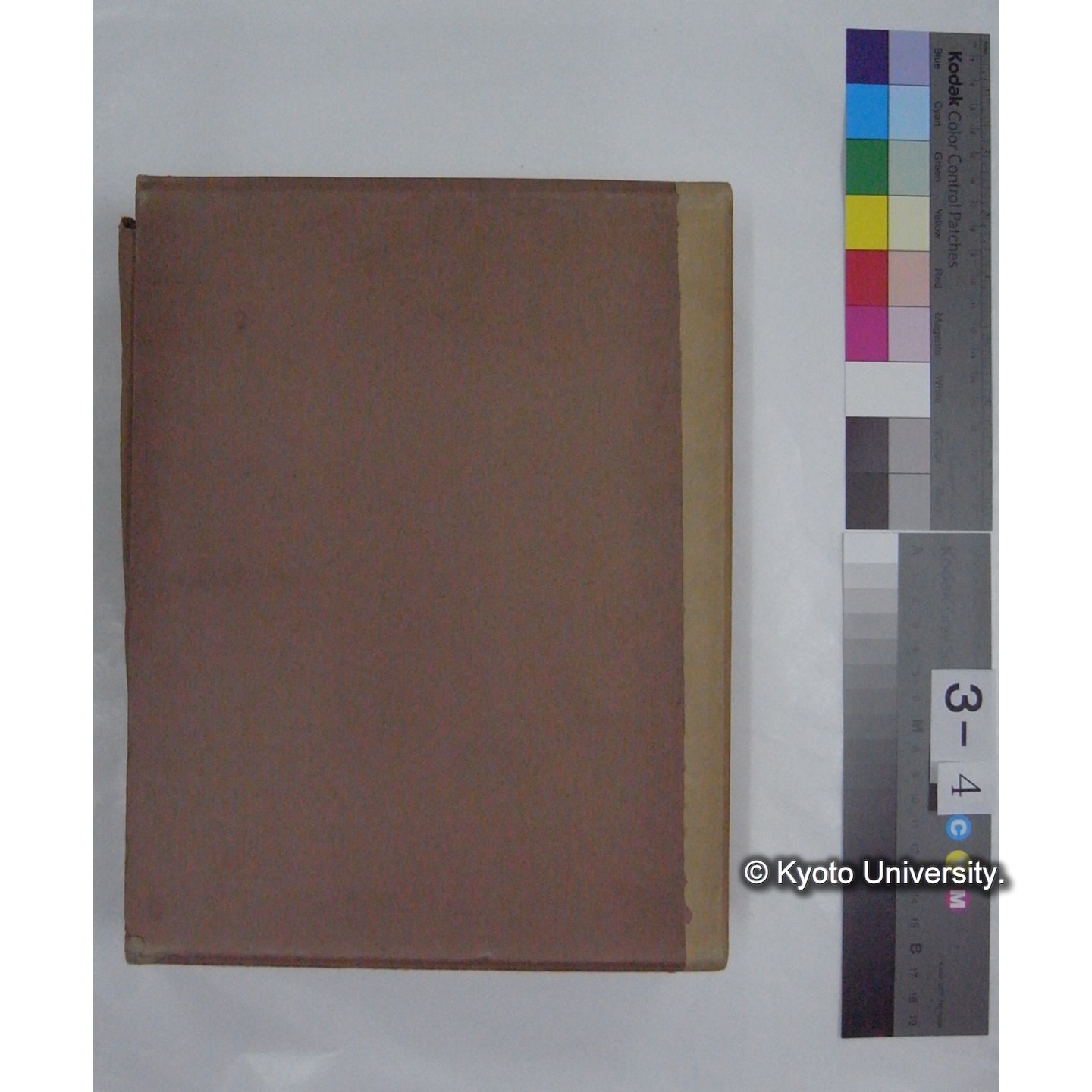 原稿・書簡・資料等 (「自著原稿 鳥」) (3)