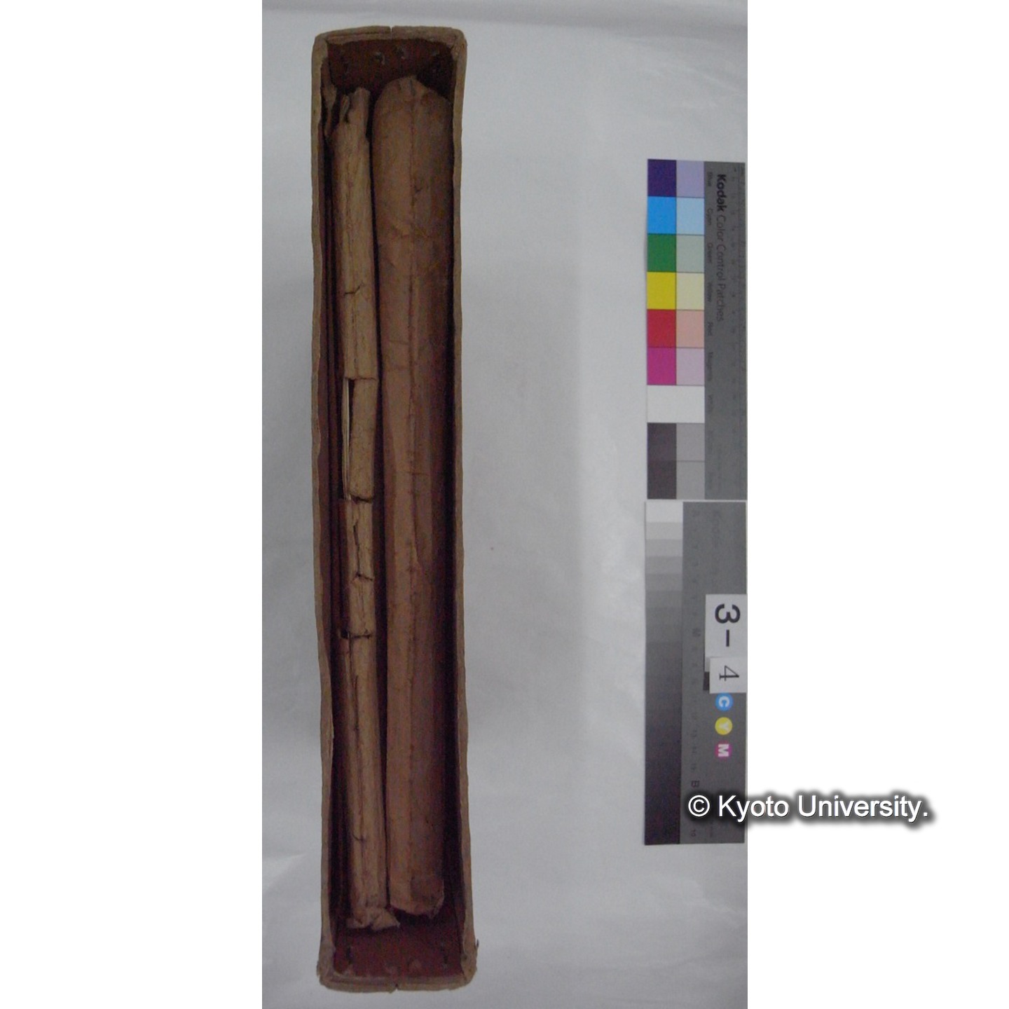 原稿・書簡・資料等 (「自著原稿 鳥」) (4)