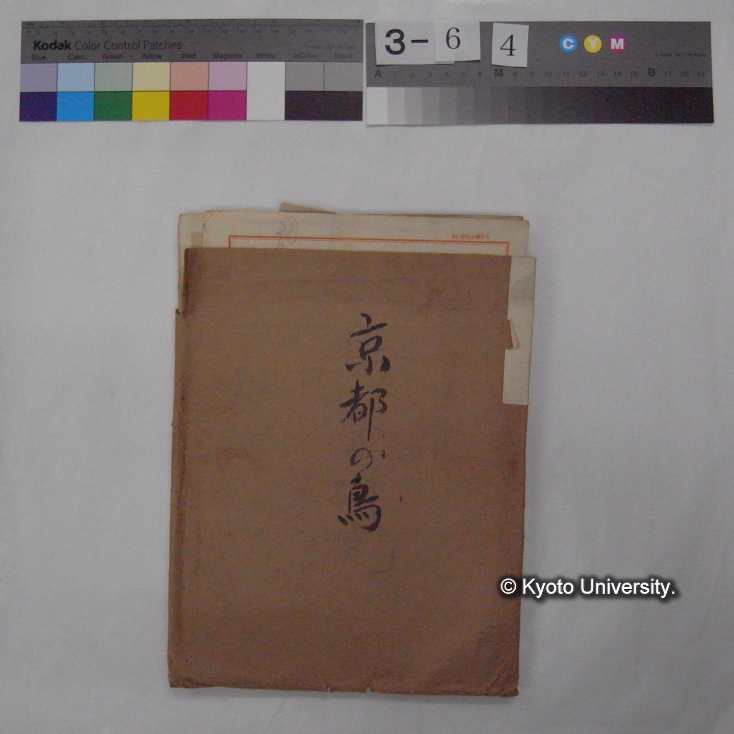 原稿・書簡・資料等 (「京都の鳥」) (1)