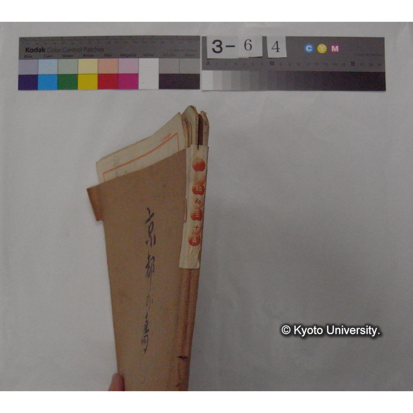 原稿・書簡・資料等 (「京都の鳥」) (3)