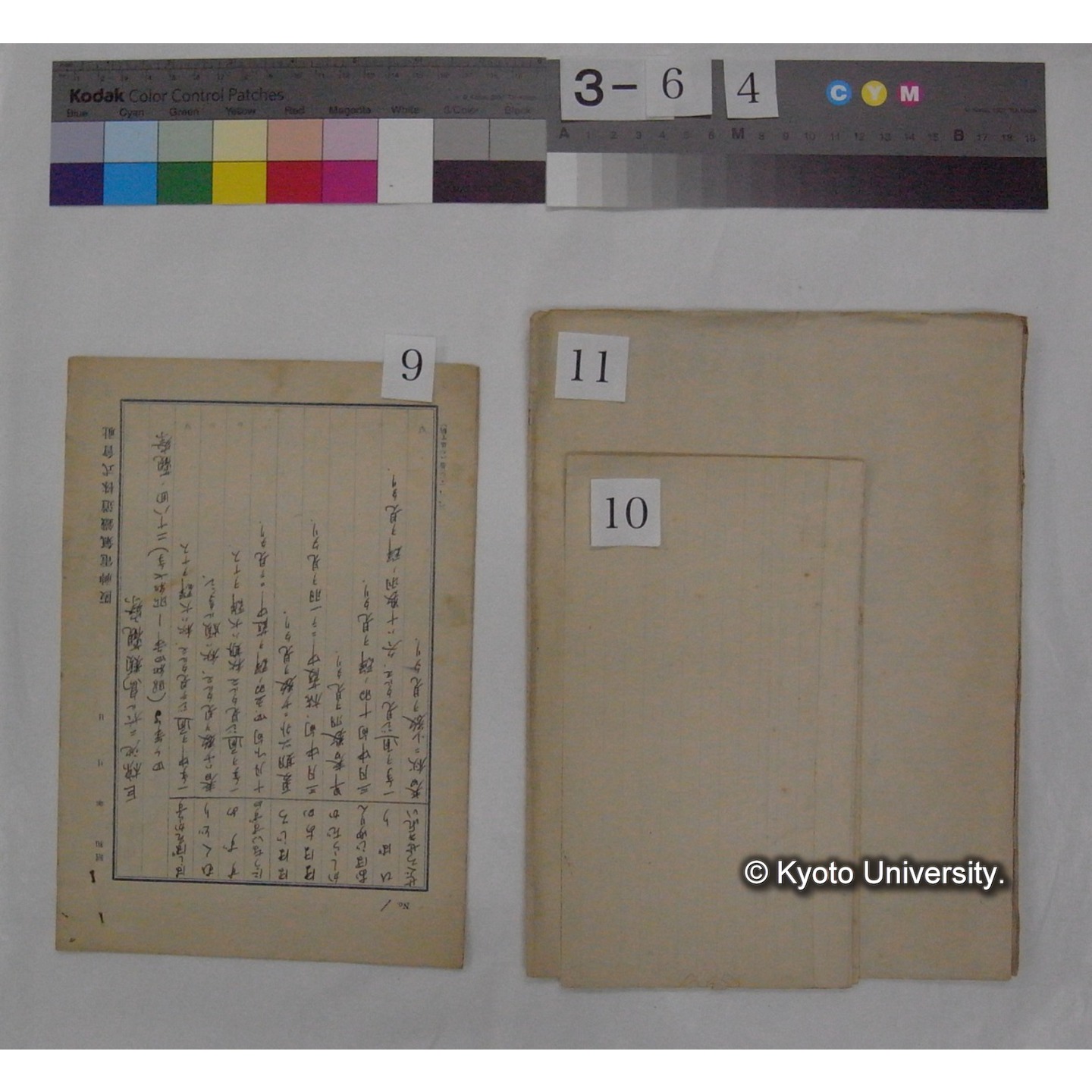 原稿・書簡・資料等 (「京都の鳥」) (11)