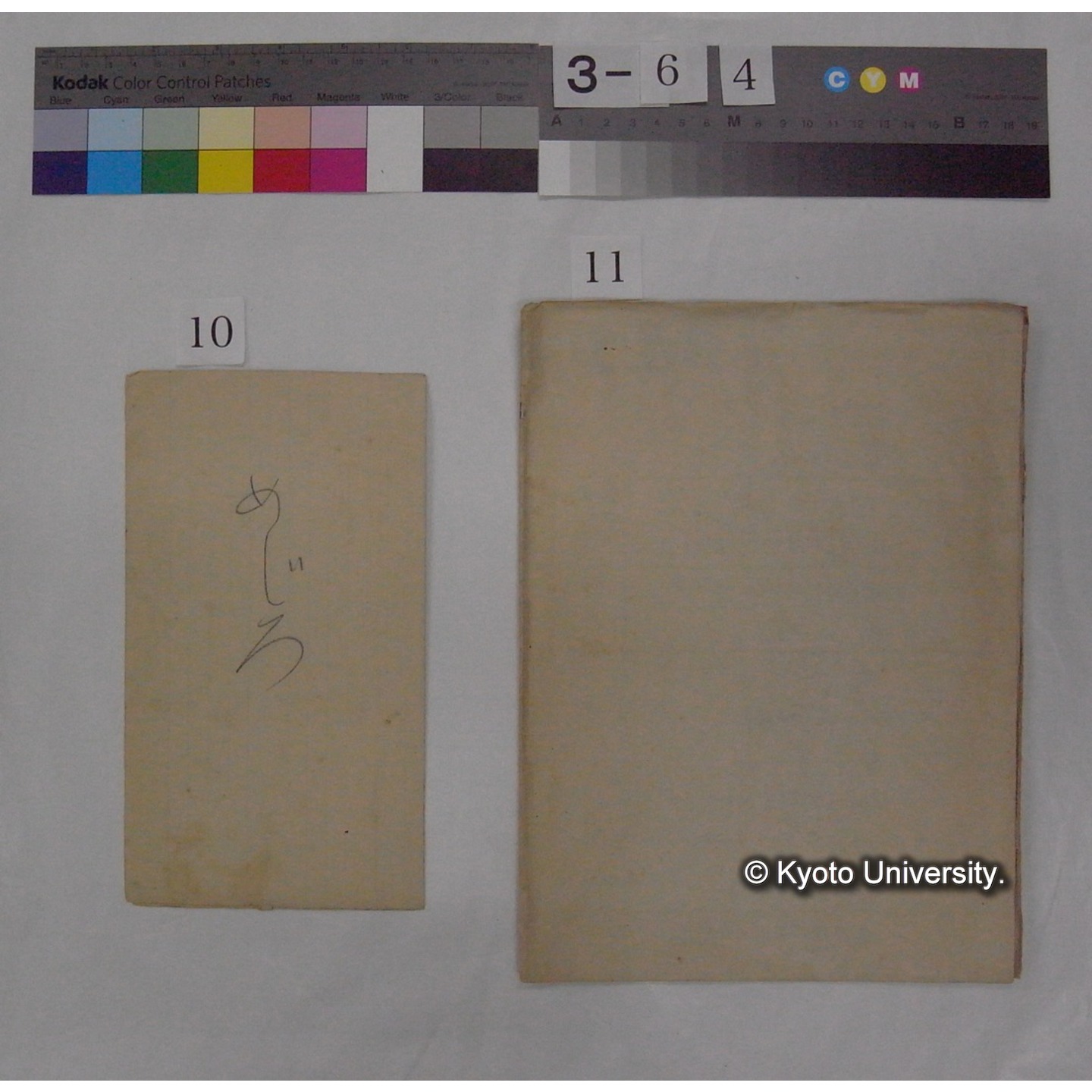 原稿・書簡・資料等 (「京都の鳥」) (12)