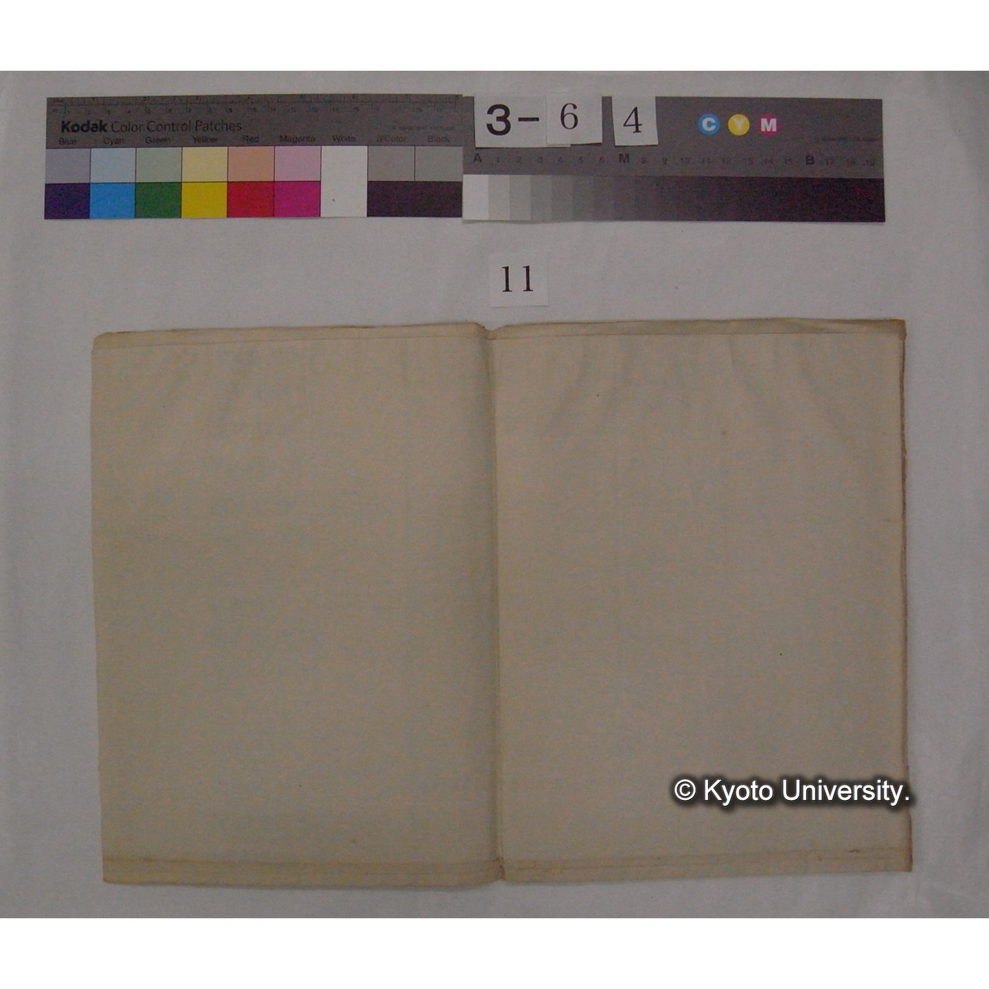 原稿・書簡・資料等 (「京都の鳥」) (13)