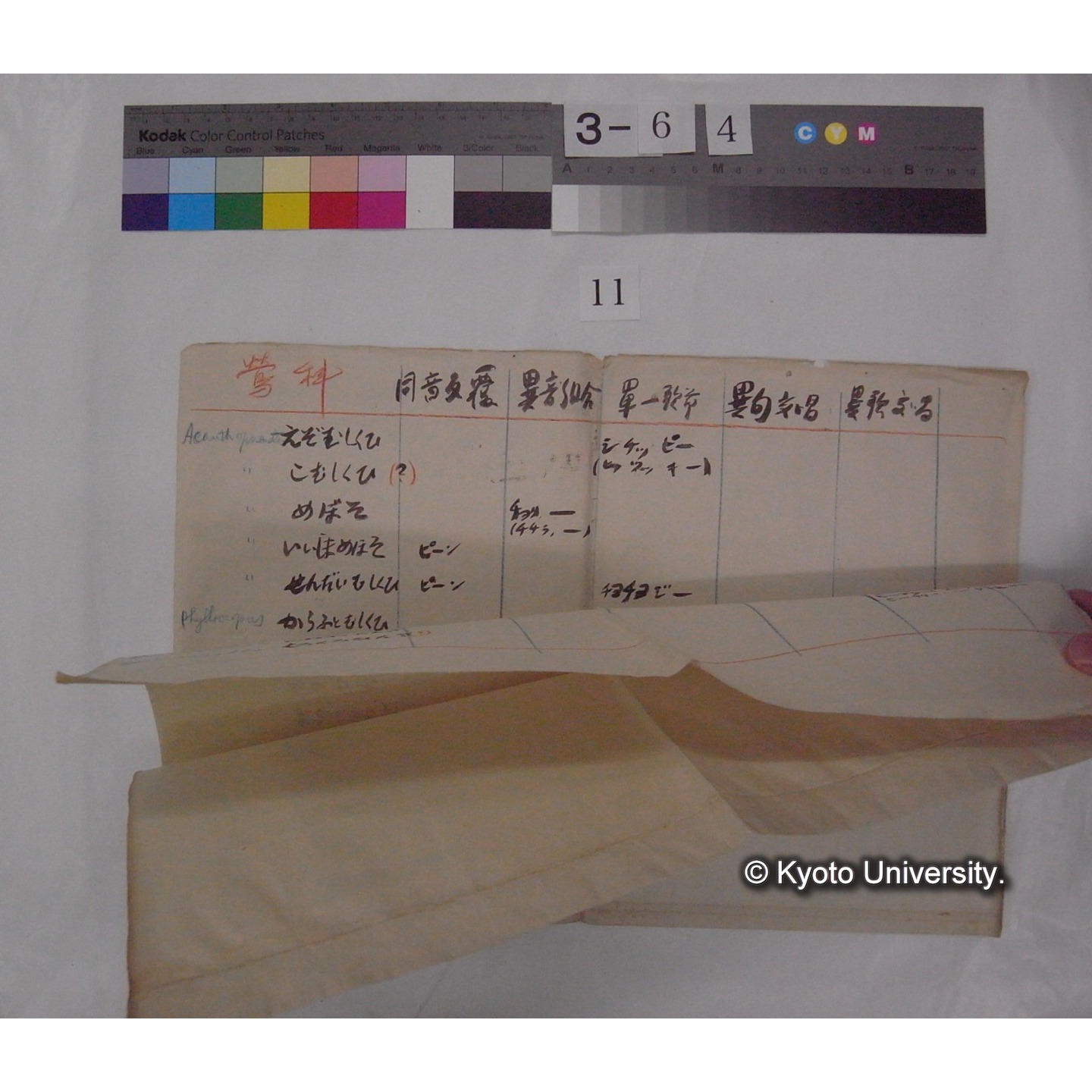 原稿・書簡・資料等 (「京都の鳥」) (14)