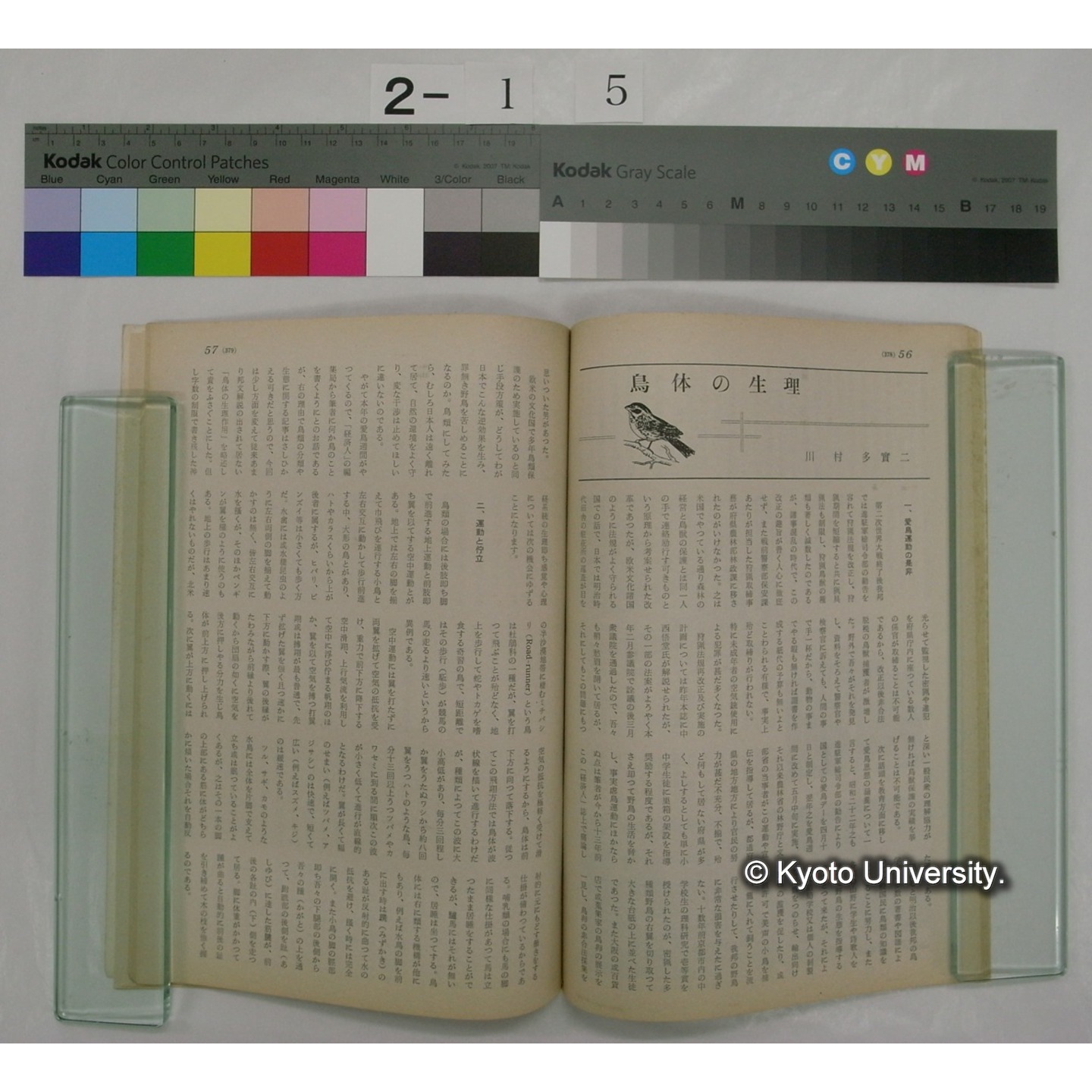 経済人 : HOMOECONOMICUS (17巻5号,昭和38.5) (3)