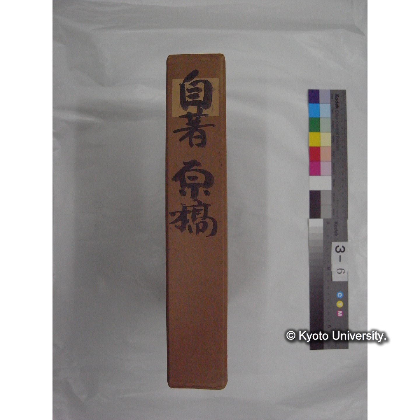 原稿・資料等 (「自著原稿」) (2)