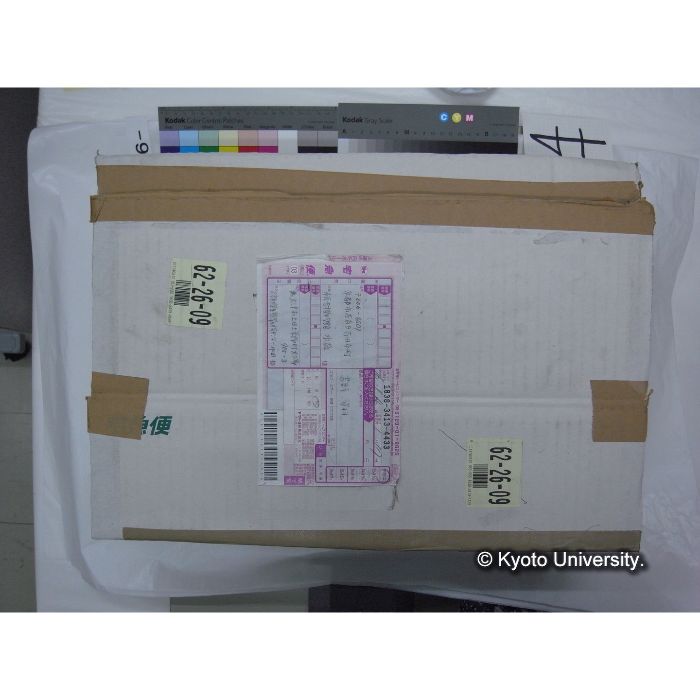 プランクトン標本調査カード (1)