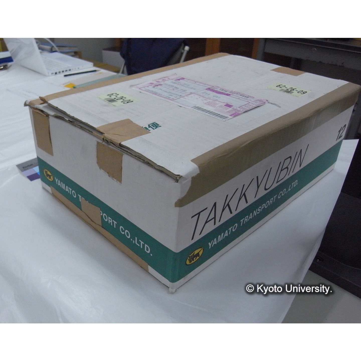 プランクトン標本調査カード (3)